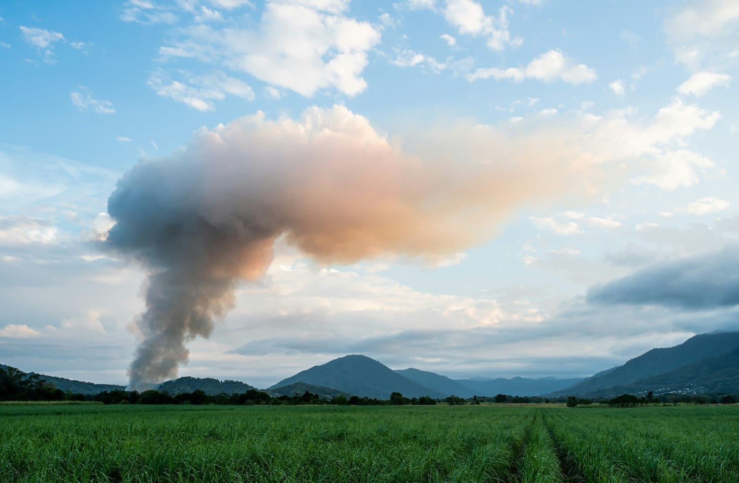 Carbon Removals & Carbon Farming Certification Framework