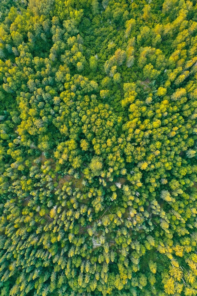 Finland
