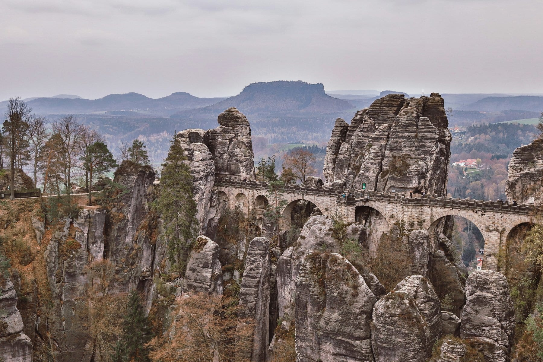 Germany’s race to build a carbon‑removal nation