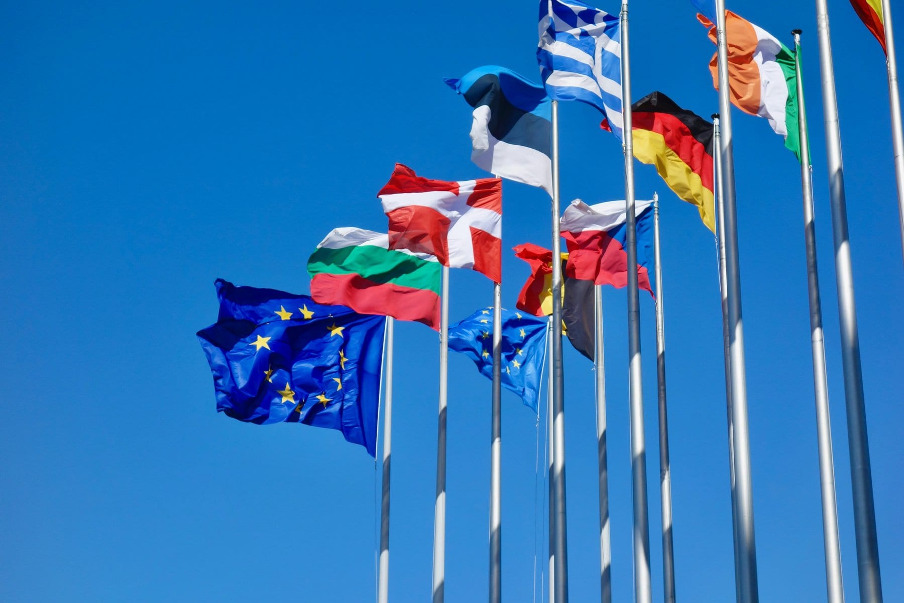EU Policy Process & CDR Advocacy Guide