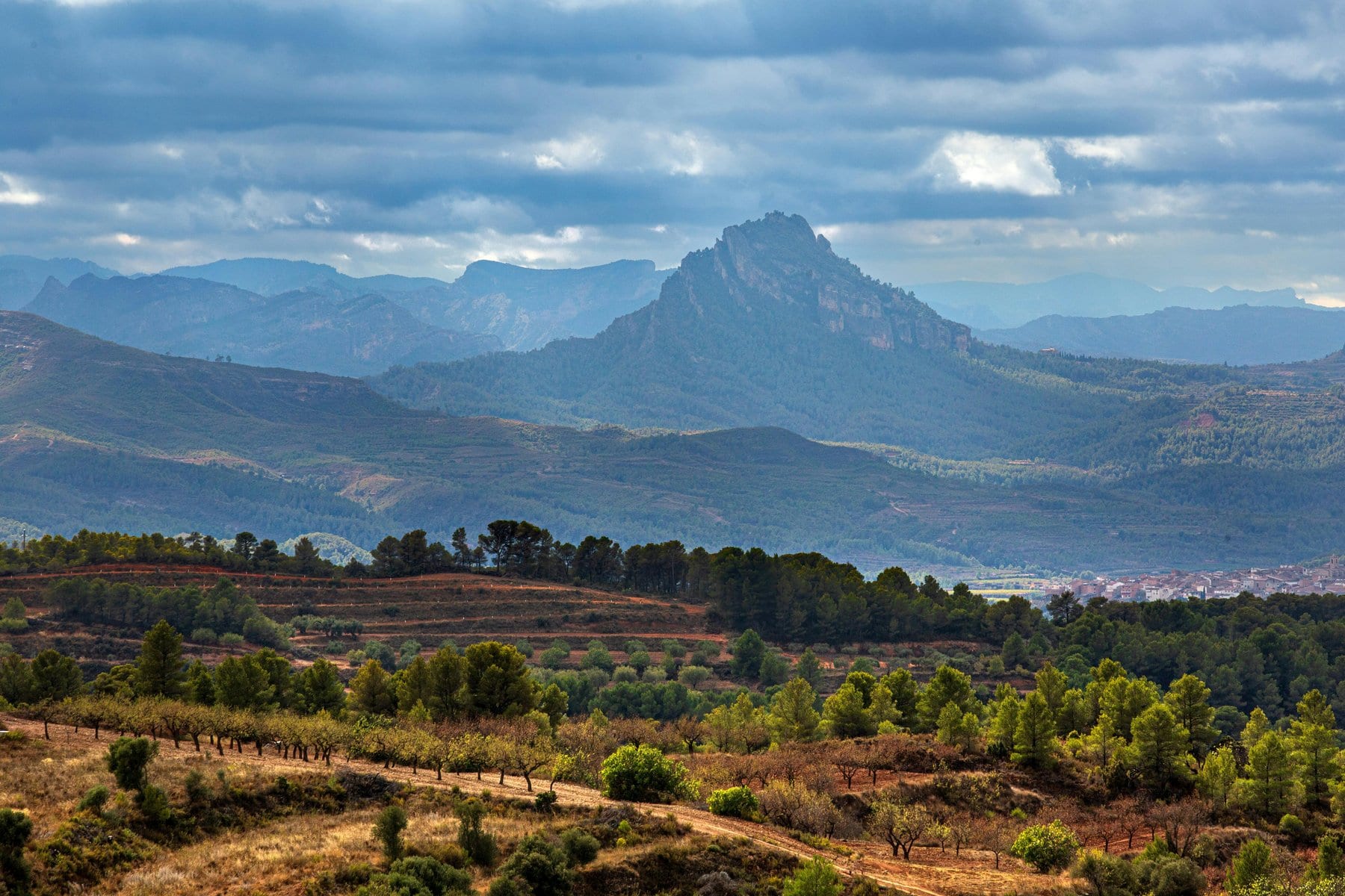 How Spain can lead Europe's carbon removal future